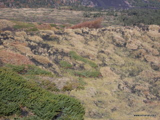 nte Zappinazzo-04-11-2012 10-59-03